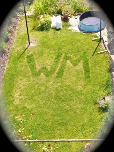 WM-Rasen